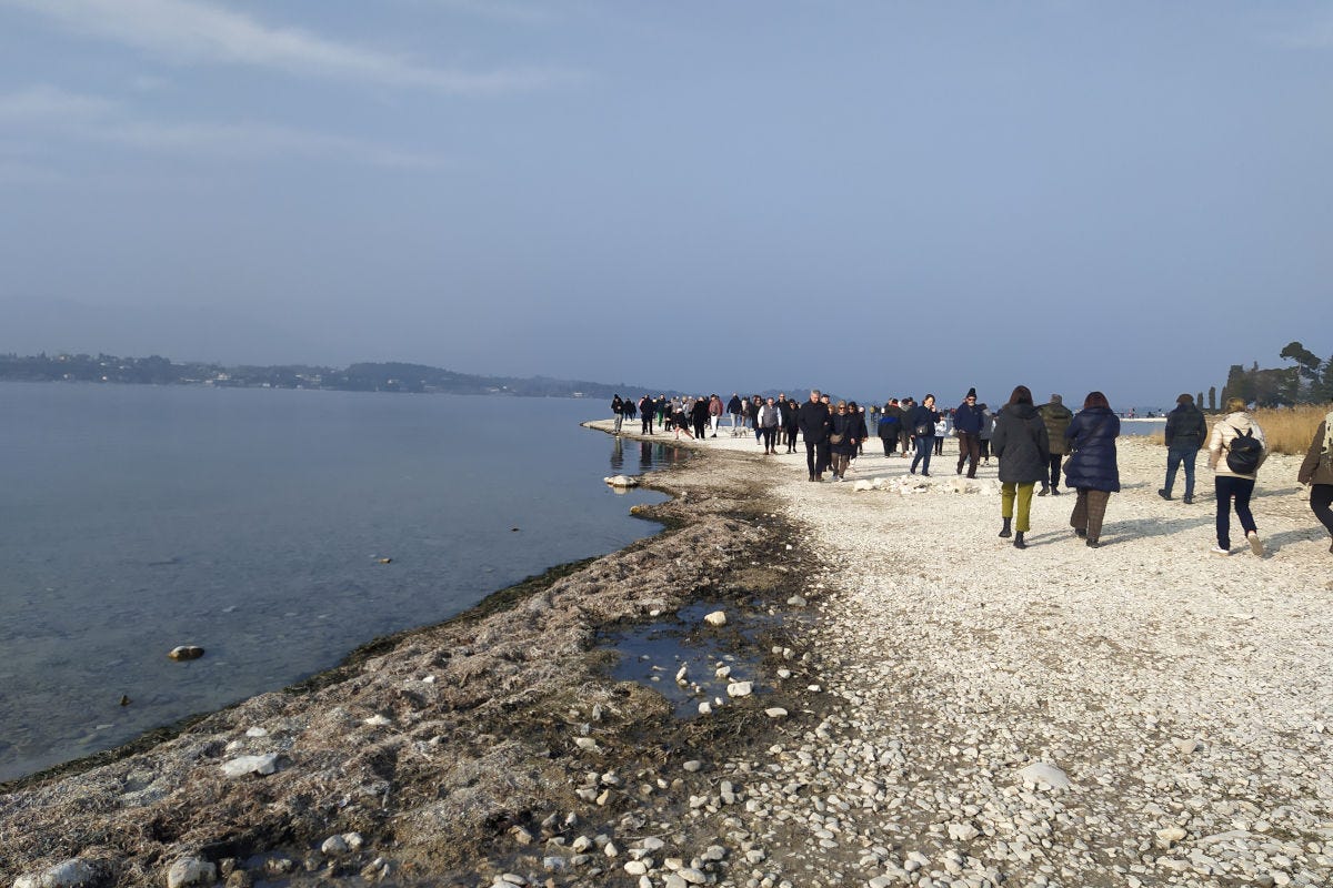 Siccità e aviaria aumenta la preoccupazione sul Lago di Garda